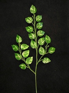 Mini Pothos Vine Spray (Lot Of 1 Bag - 12 Pcs Per Bag)