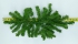 24 Inch Artificial Canadian Pine Swag, 24 Inches (lot of 6) SALE ITEM