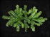 24 Inch Artificial Canadian Pine Swag, 24 Inches (lot of 6) SALE ITEM