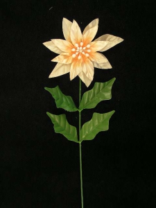 Single Satin Poinsettia Spray, peach (lot of 12)