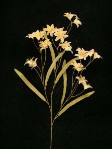 Peruviana, dark peach, Artificial Silk Flower (lot of 12)