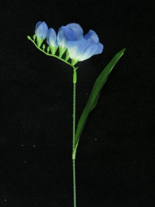Freesia Pick, blue (lot of 72)