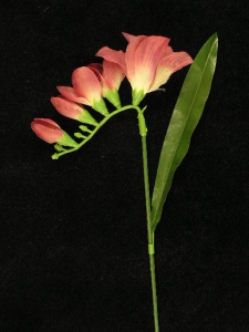 Freesia Pick, rose (lot of 72)