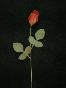 Rosebud, rust (lot of 24)