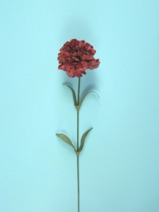 Single Carnation Spray, burgundy (lot of 12)