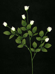 Rosebud Spray, white (lot of 12)