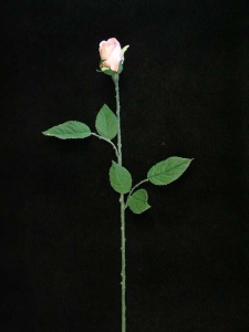 Rosebud, pink (lot of 48)