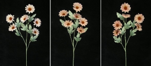 Pastel Water Color Daisy, mauve combo (lot of 12)