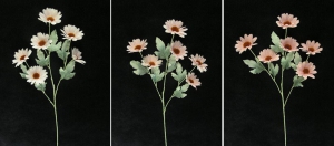 Pastel Water Color Daisy, pink combo (lot of 12)