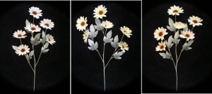 Pastel Water Color Daisy, Yellow (Lot of 12)
