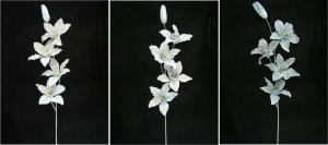 Orchid, wedgwood blue combo (lot of 12)