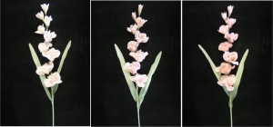 Pastel Water Color Gladiola Spray, Pink (Lot of 6)