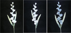 Pastel Water Color Gladiolus Spray, wedgewood blue, 35 inch (lot of 6)
