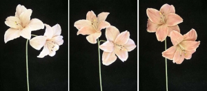 Pastel Water Color Amaryllis Spray, Mauve (Lot of 12)