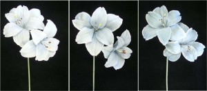 Pastel Water Color Amaryllis Spray, Wedgewood Blue (Lot of 12)