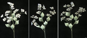 Pastel Water Color Dogwood Spray (Gray, Lot of 12)