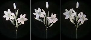Pastel Water Color Tiger Lily, gray combo (lot of 12) 