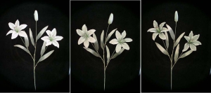 Pastel Water Color Tiger Lily, seafoam green combo (lot of 12)