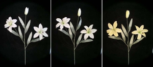 Pastel Water Color Tiger Lily, yellow combo (lot of 12)