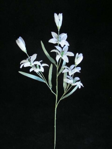 Pastel Water Color Baby Tiger Lily Spray, white, 29 inch (lot of 12)