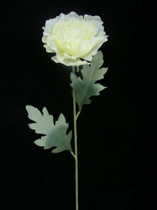 Pastel Water Color Single Peony, Large, Yellow combo (lot of 12)