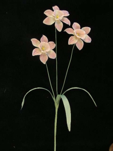 Pastel Water Color Daffodil Spray, Mauve (Lot of 12)