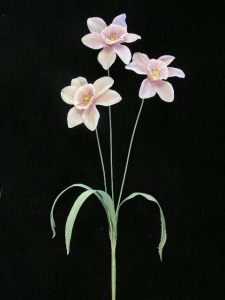 Pastel Water Color Daffodil Spray, pink combo (lot of 12)