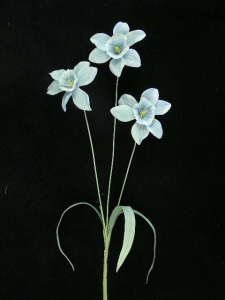 Pastel Water Color Daffodil Spray, Wedgewood blue combo (lot of 12)