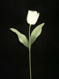 Pastel Water Color Tulip Spray, White, Lot of 12