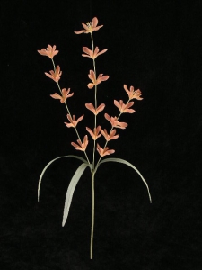 Pastel Water Color Lobelia Spray, Coral Combo (Lot of 12)
