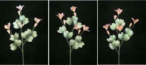 Pastel Water Color Bauhinia Orchid, Mauve (Lot of 12)