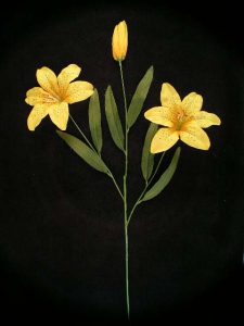 Tiger Lily, yellow (lot of 12) 25006 yellow
