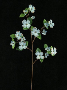 Dogwood, wedgwood (lot of 12)