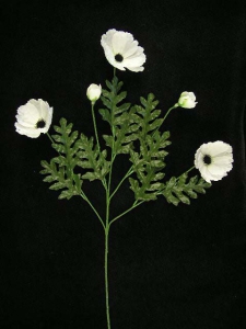 Poppy, white (lot of 12)