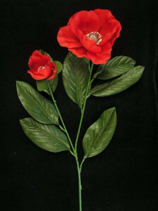 Magnolia, red (lot of 6)