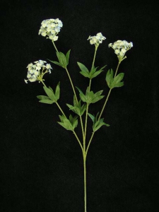 Candy Tuft, royal blue, Artificial Silk Flower (lot of 24)