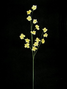 Handwrap Cherry Blossom, golden yellow (lot of 12)