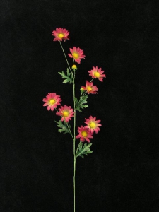 Handwrap Daisy, burgundy, Artificial Silk Flower (lot of 12)