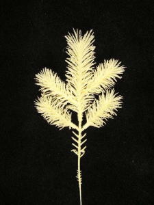 Flocked Angel Pine Pick, antique white (lot of 12) SALE ITEM