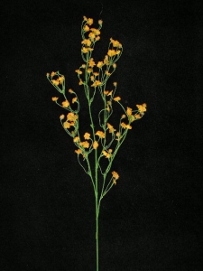 Gypsophilia, orange, Artificial Silk Flower (lot of 48)