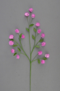 Miniature Marigold, mauve (lot of 24) SALE ITEM
