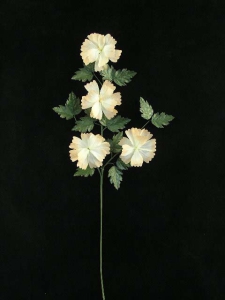 Handwrap Zinnia Spray, peach, Artificial Silk Flower (lot of 12)