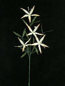 Handwrap Lily Spray, peach, Artificial Silk Flower (lot of 12)