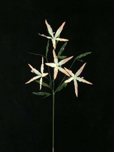 Handwrap Lily Spray, shrimp, Artificial Silk Flower (lot of 12)