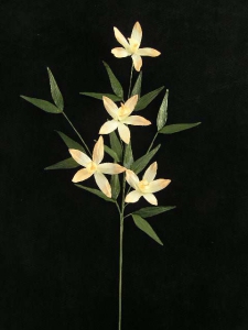 Handwrap Orchid Spray, peach, Artificial Silk Flower (lot of 12)