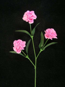 Carnation Spray, dark pink (lot of 24)