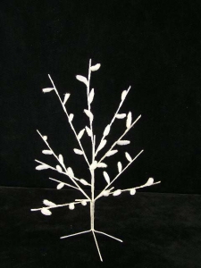 White Pussy Willow Tree (lot of 24) SALE ITEM