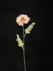 Dried-Look Mum, mauve, Artificial Silk Flower (lot of 24)