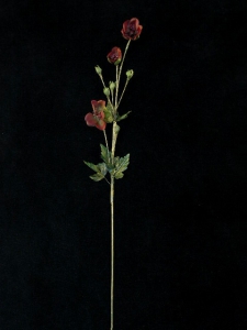 Handwrap Poppy, brick, Artificial Silk Flower (lot of 12)