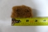 Reindeer Parts (lot of 12)
